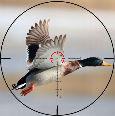 WestHunter HD Gen2 1-10x24 z montażem jednoczęściowym i kolimatorem